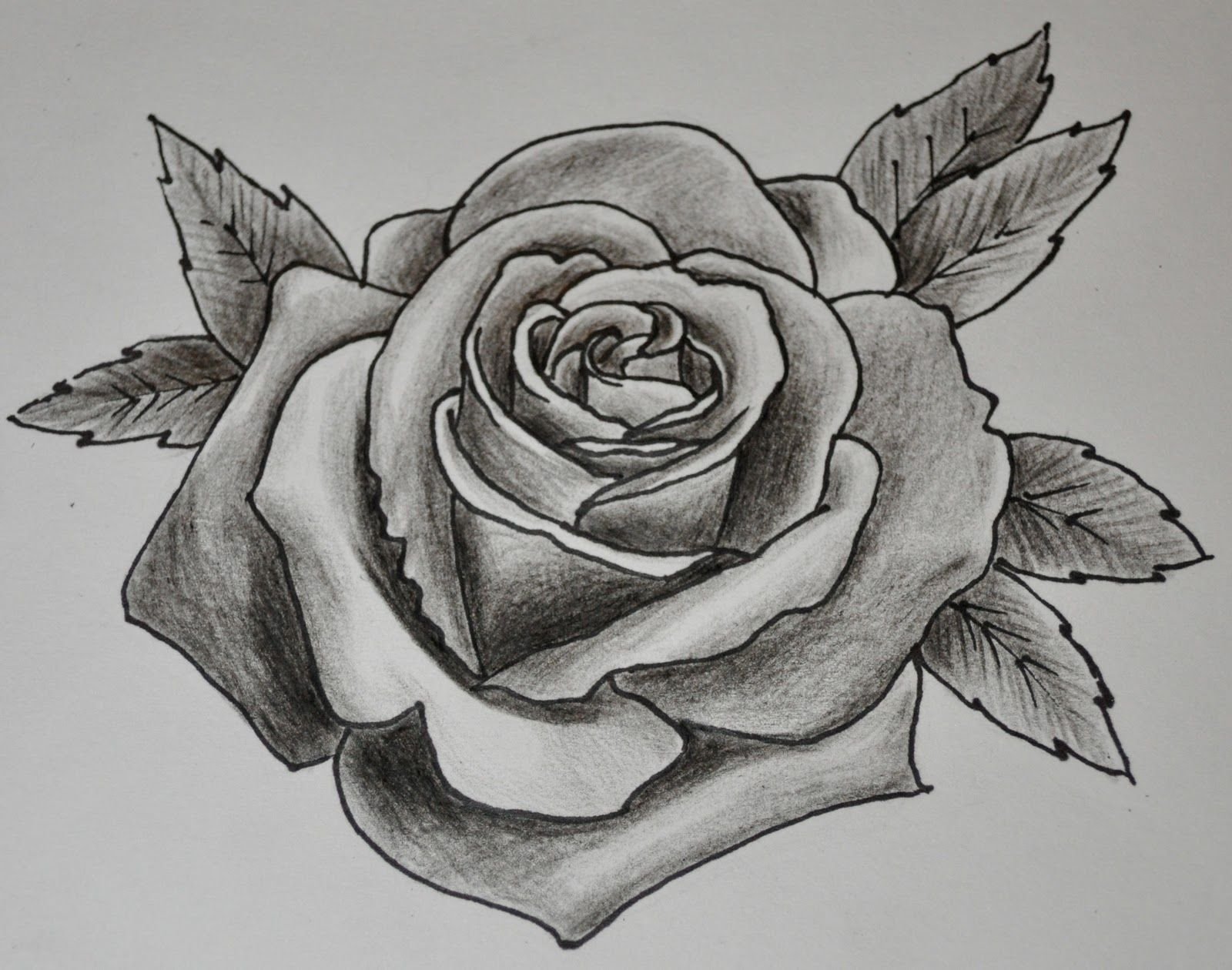 Эскиз розы рисунок фото