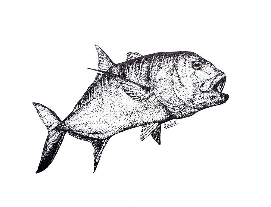 Эскиз рыбы рисунок фото