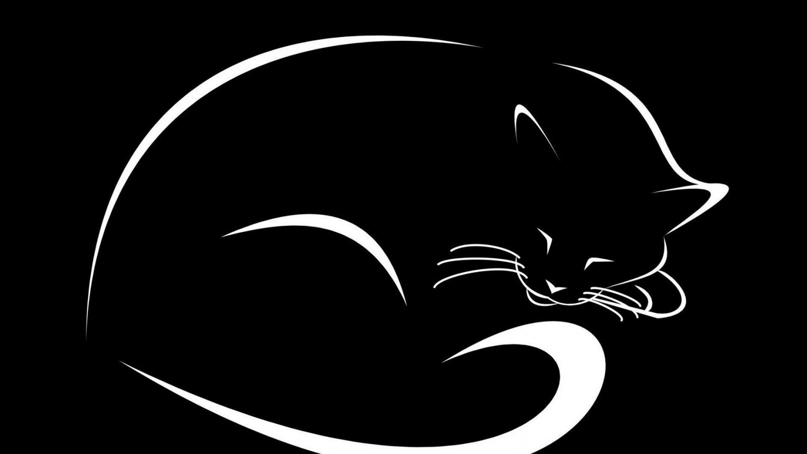Фоновый рисунок черный кот фото