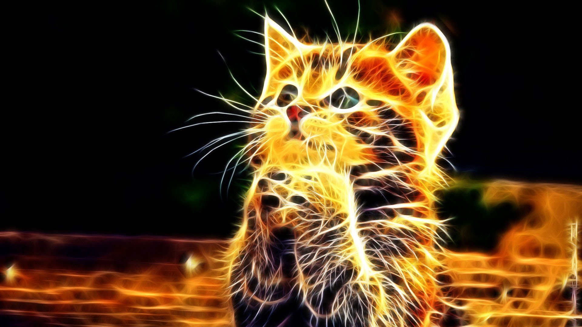 Фоновый рисунок кот фото