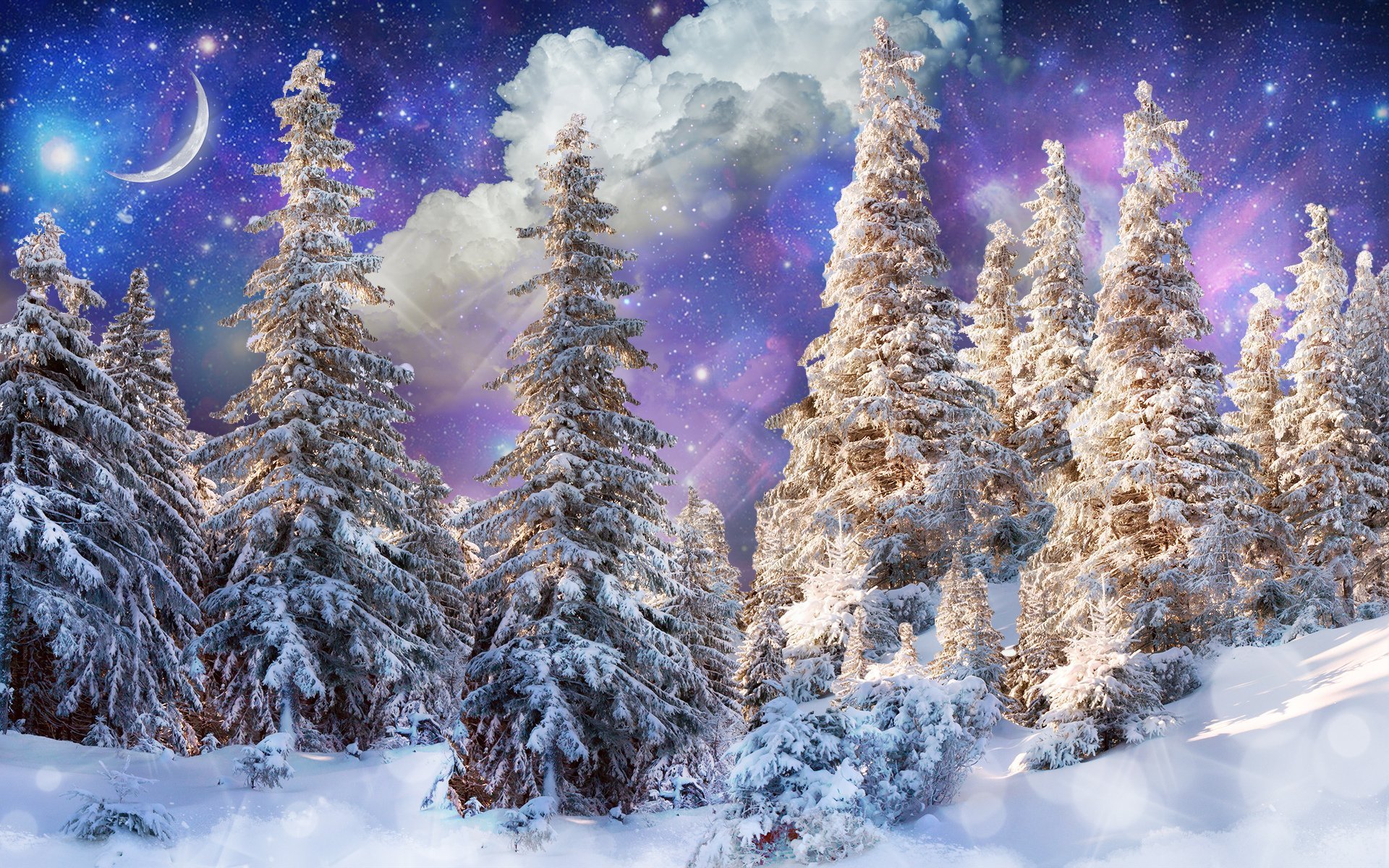 Фоновый рисунок рабочего стола с зимним лесом фото