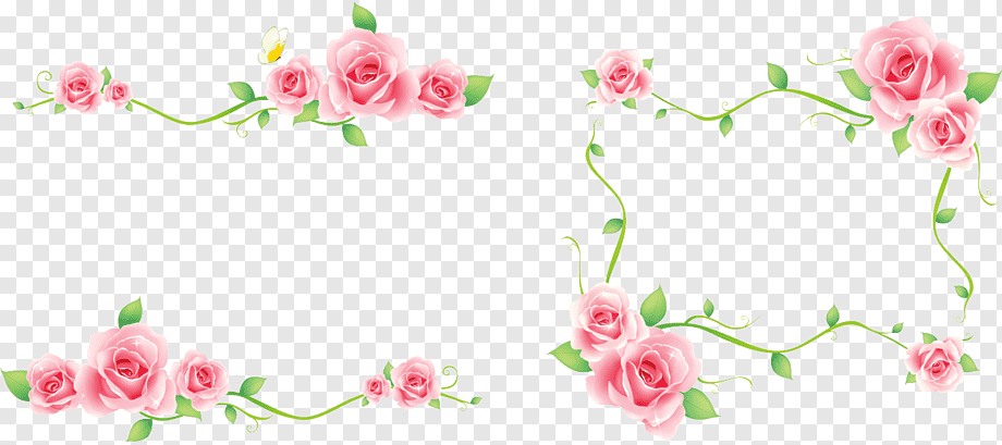 Фоторамка из роз на прозрачном фоне фото