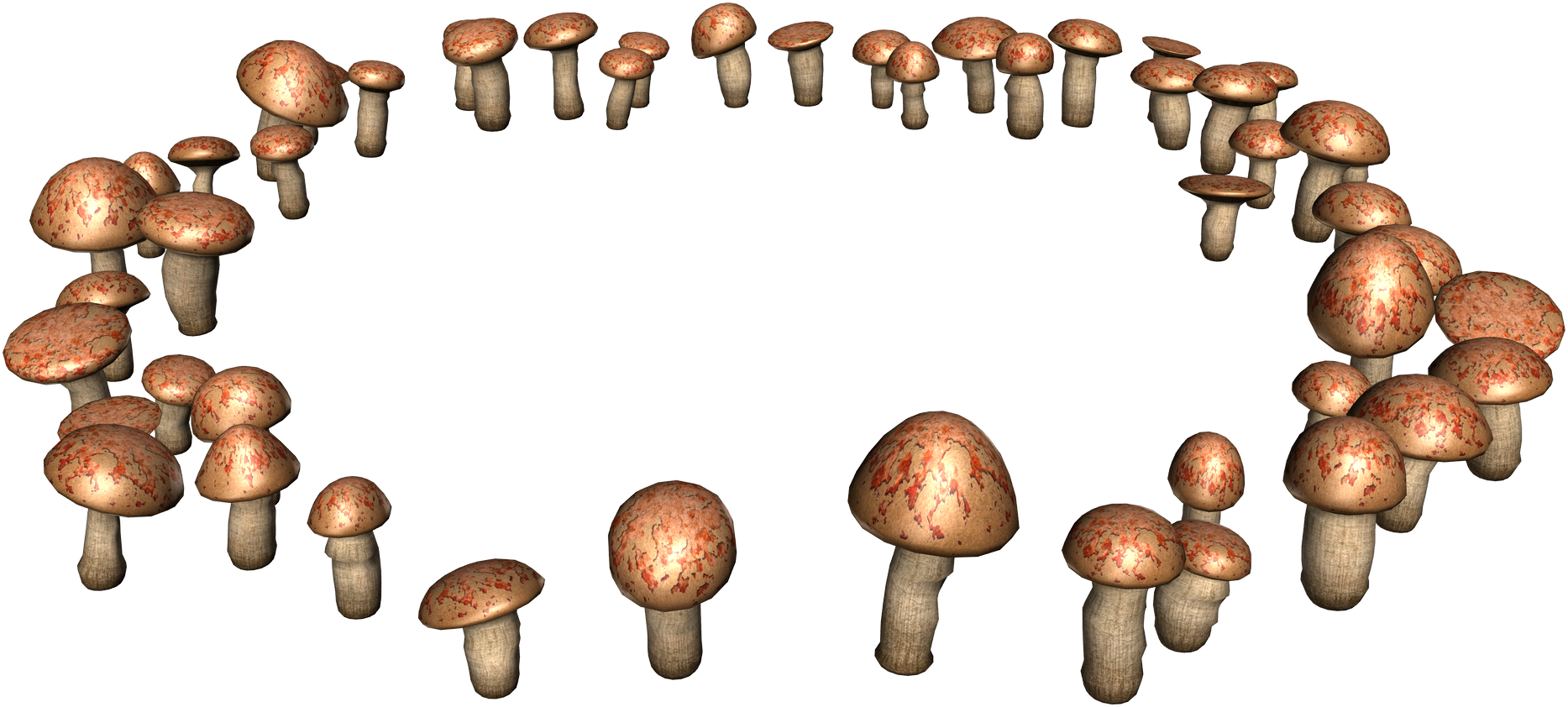 Фоторамка с грибами на прозрачном фоне фото