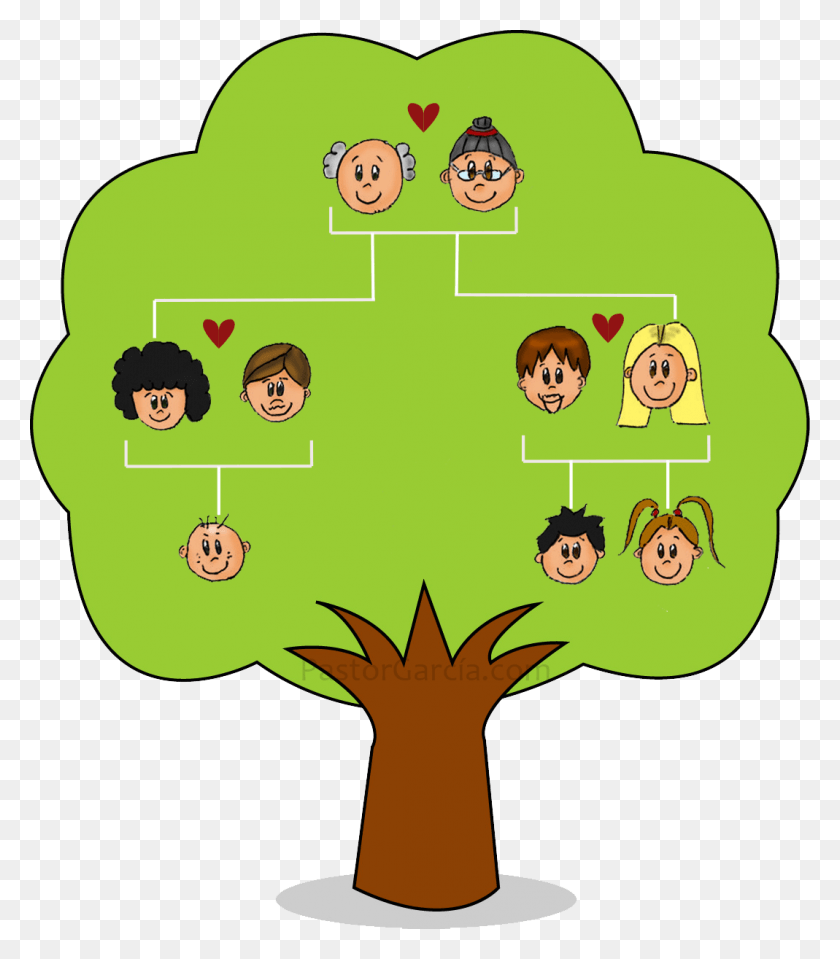 Генеалогическое дерево рисунок детский фото