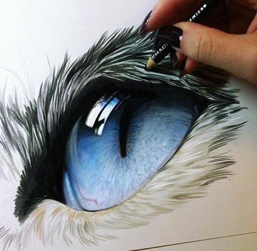 Глаза животных рисунки фото