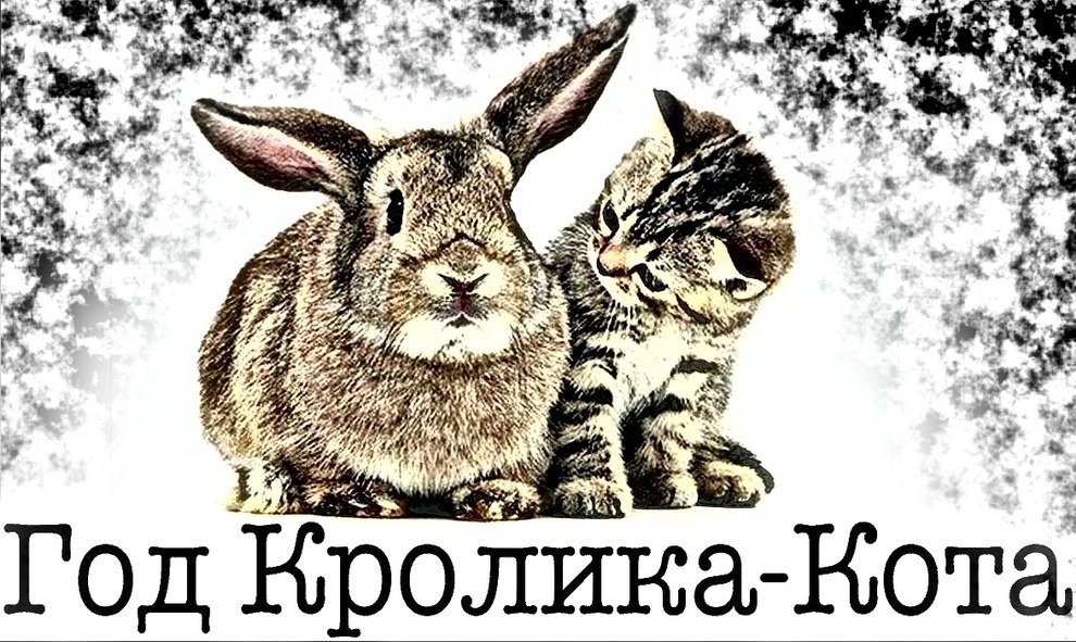 Год кота и кролика открытки красивые фото