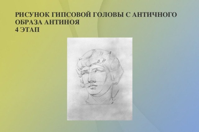Голова аполлона академический рисунок поэтапно фото