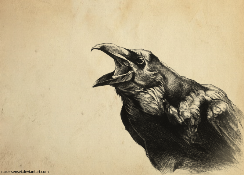 Голова ворона рисунок эскиз фото