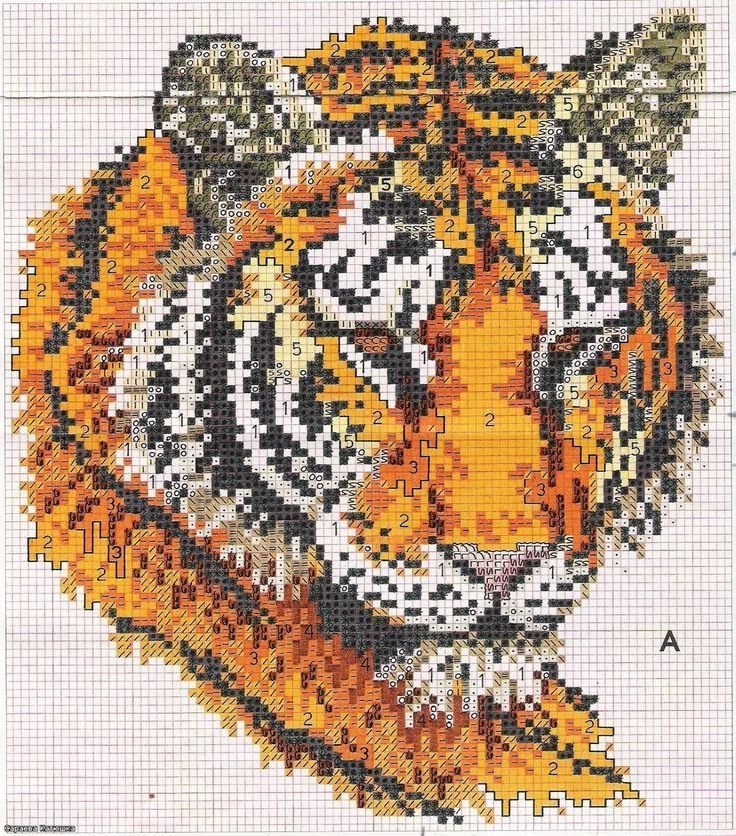 Графический рисунок по клеточкам тигр фото