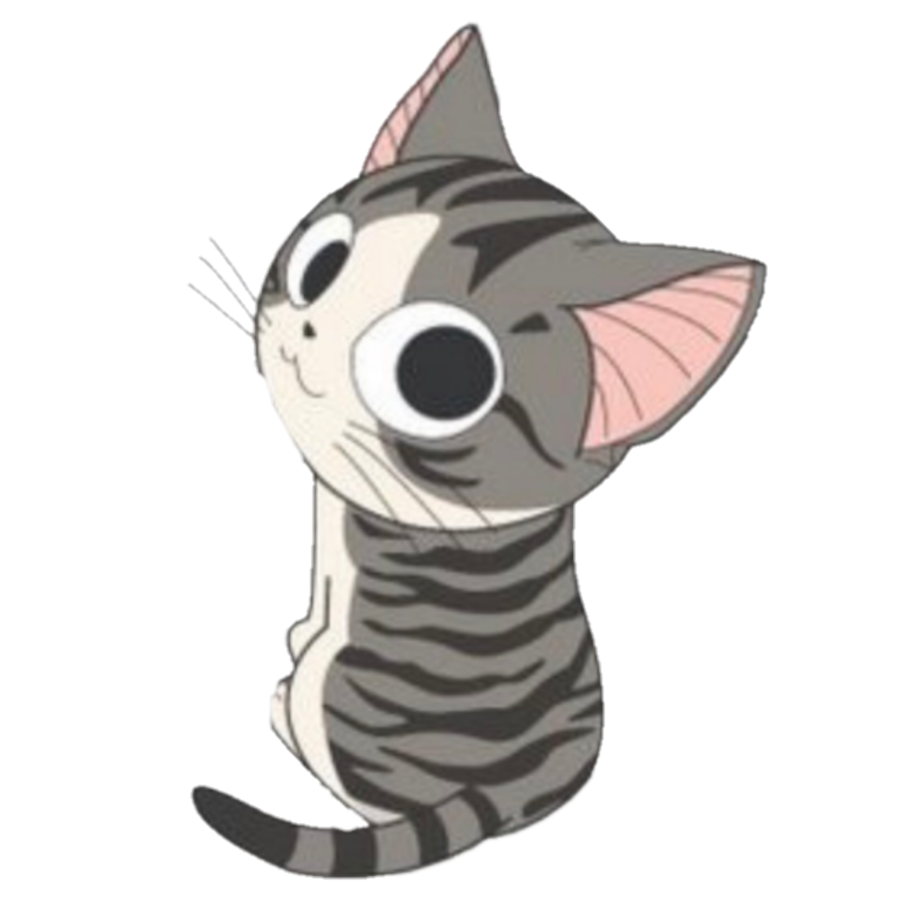 Испуганный кот рисунки аниме фото
