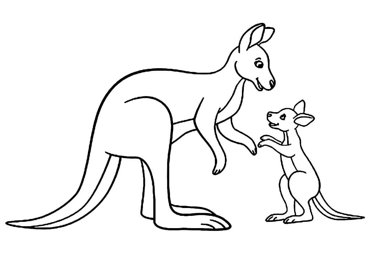 Карнавал животных кенгуру рисунок фото