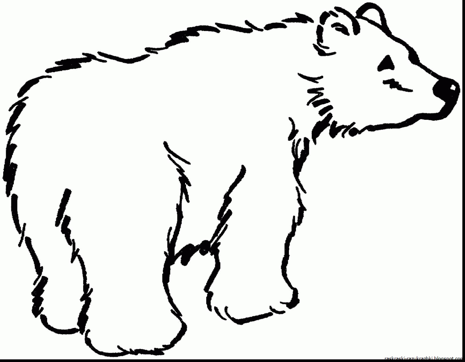 Картинка медведя рисунок детский фото