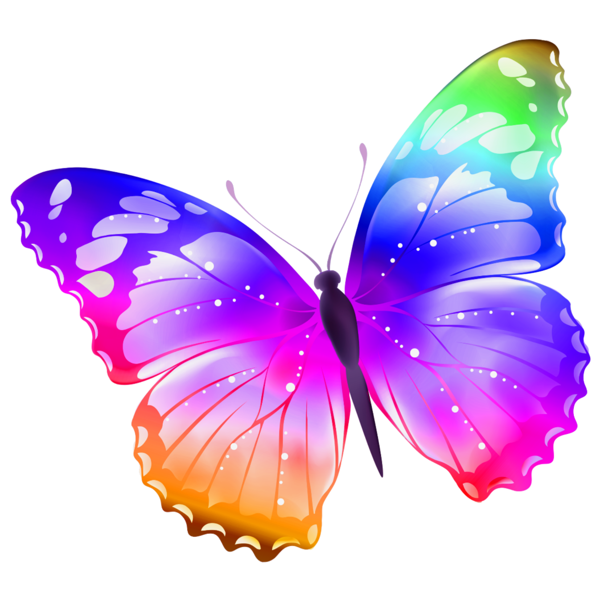 Картинки бабочка цветная фото