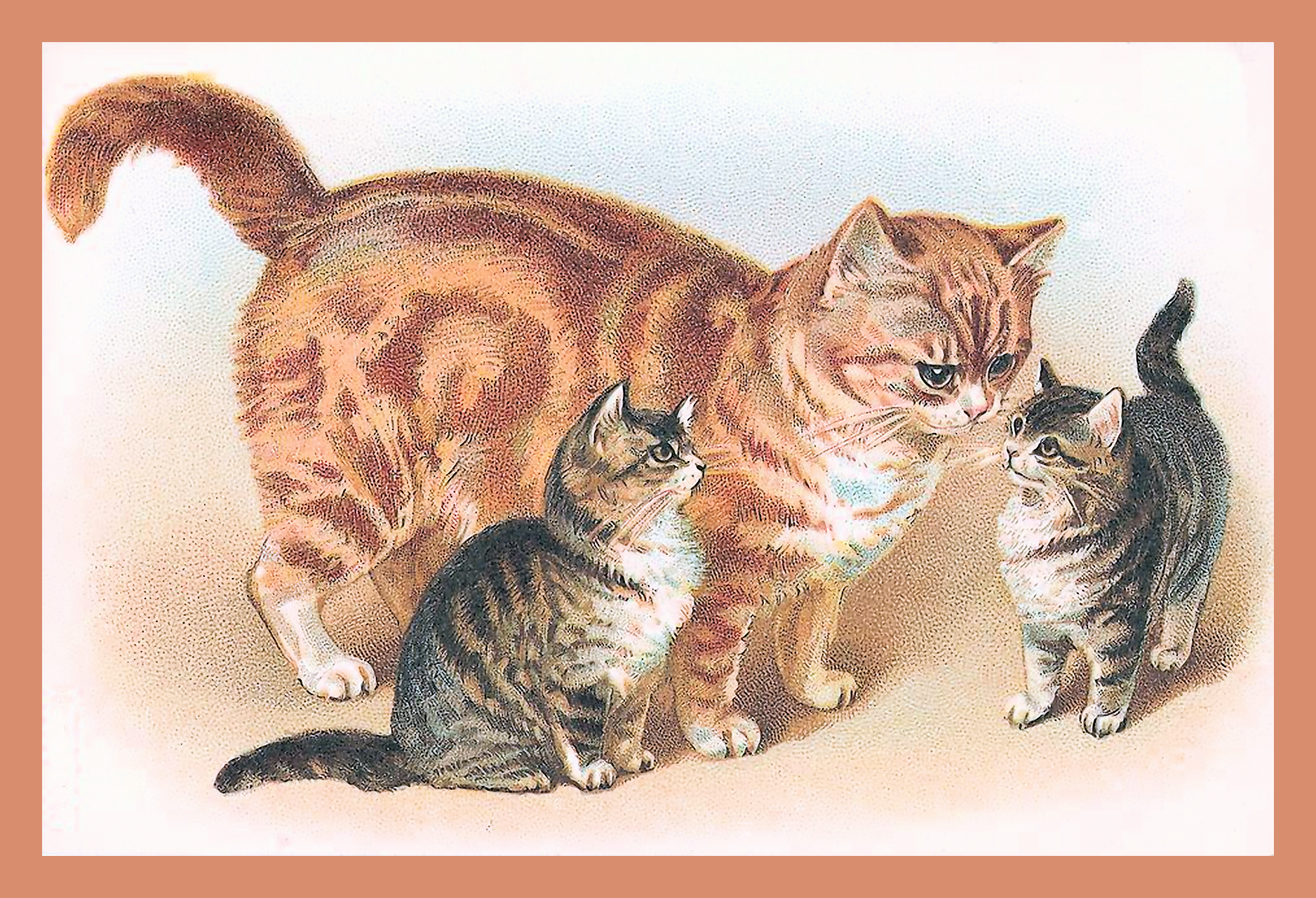 Картинки кошка с котятами фото