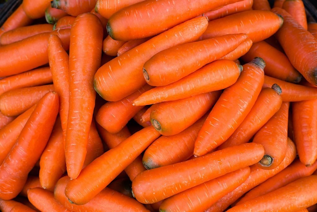 Картинки морковь фото