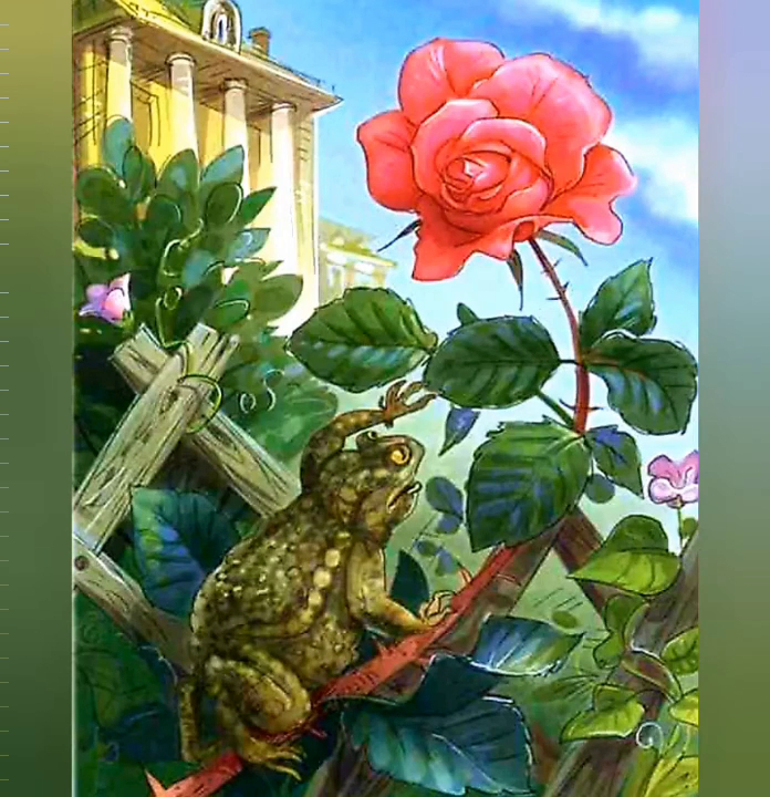 Картинки сказка о жабе и розе фото
