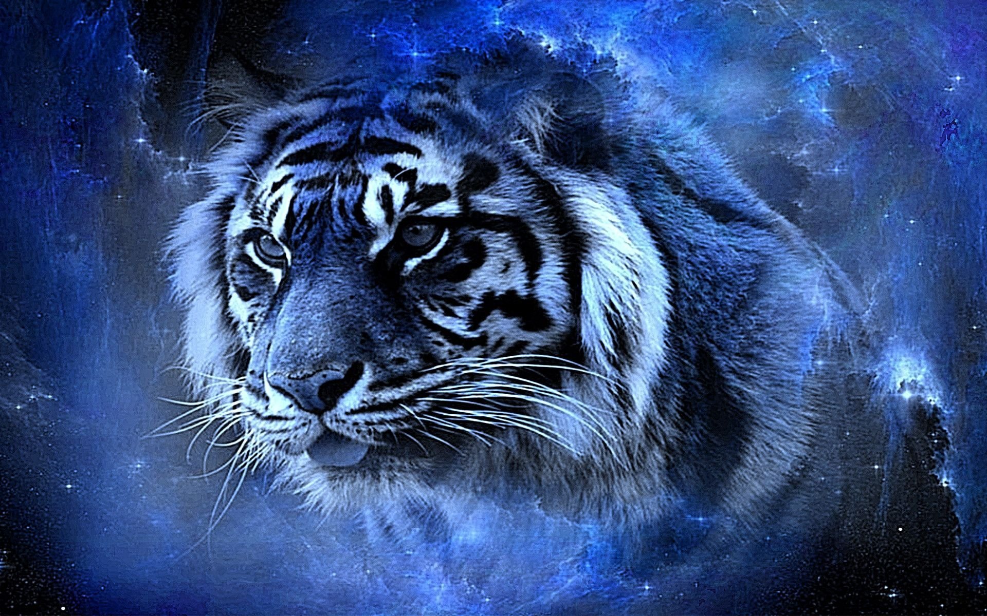 Картинки тигр фото