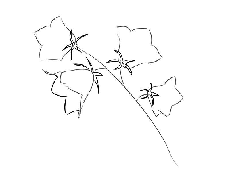 Колокольчик цветок рисунок поэтапно фото
