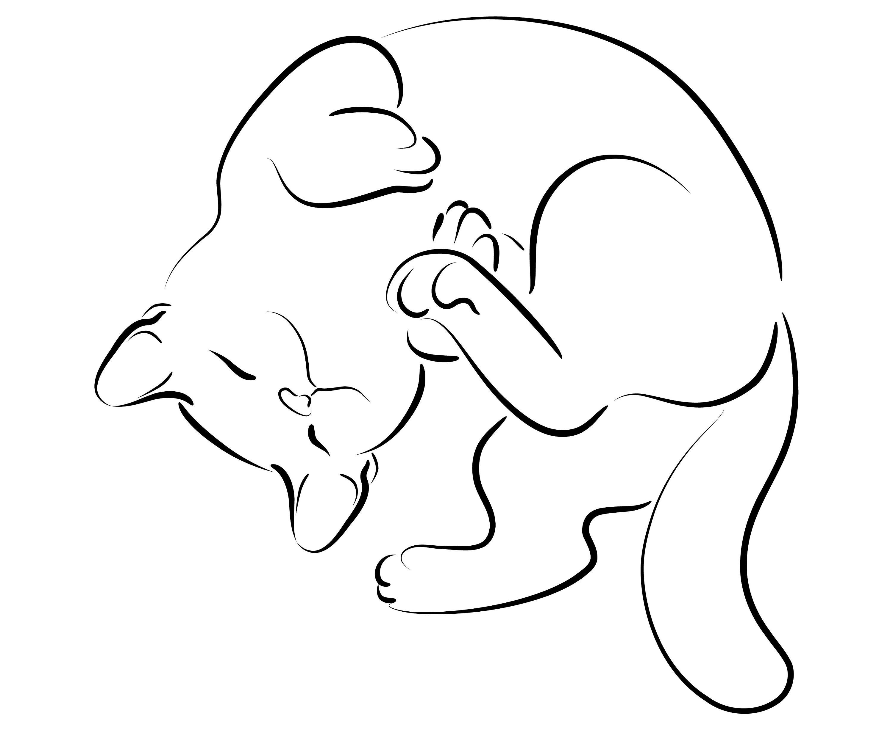 Контурный рисунок кошка фото