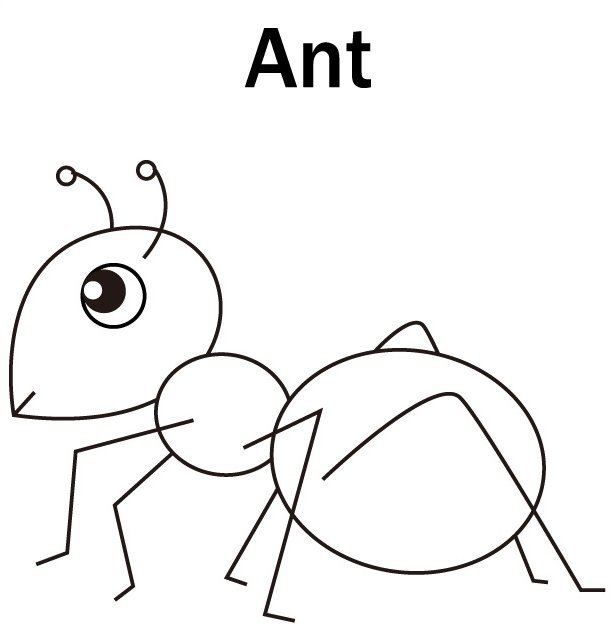 Контурный рисунок муравей фото