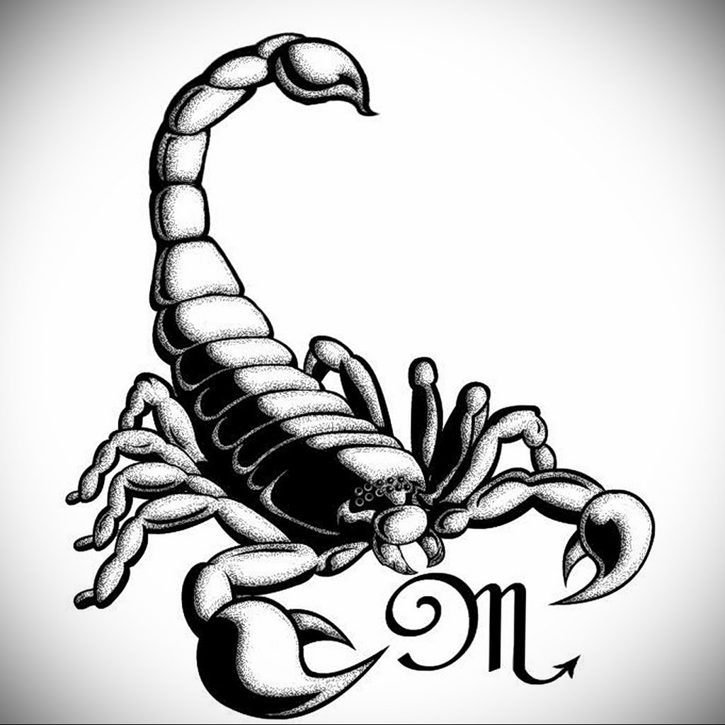 Контурный рисунок скорпион фото