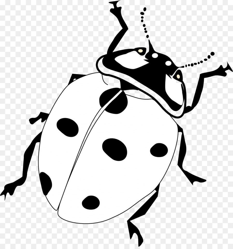 Контурный рисунок жук фото