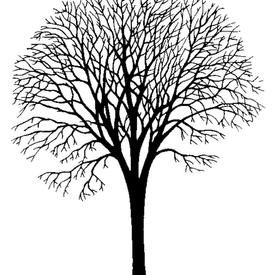 Контурные рисунки дерев фото