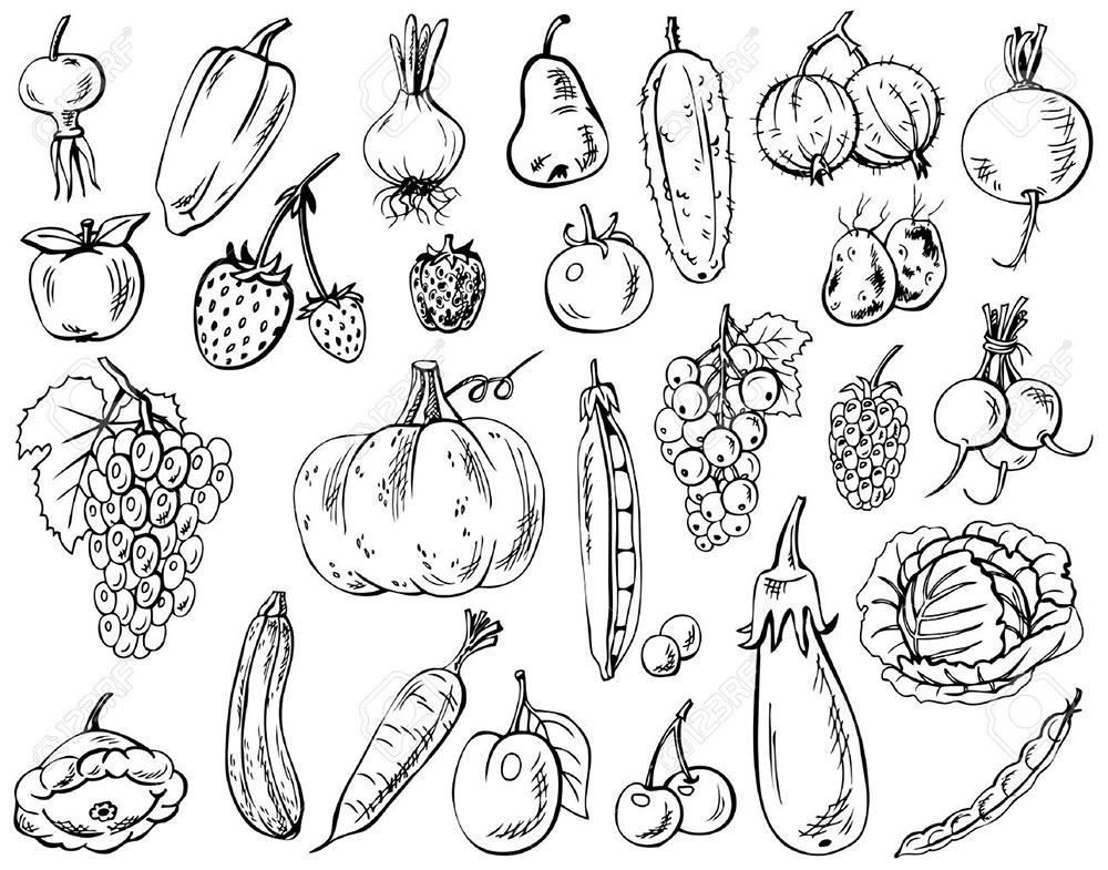 Контурные рисунки овощей фото