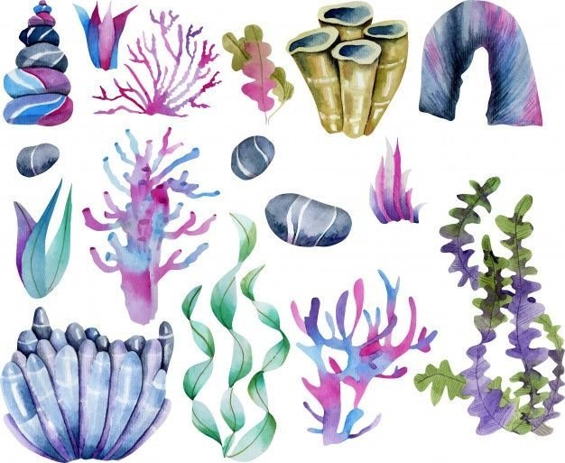 Кораллы рисунок арт фото