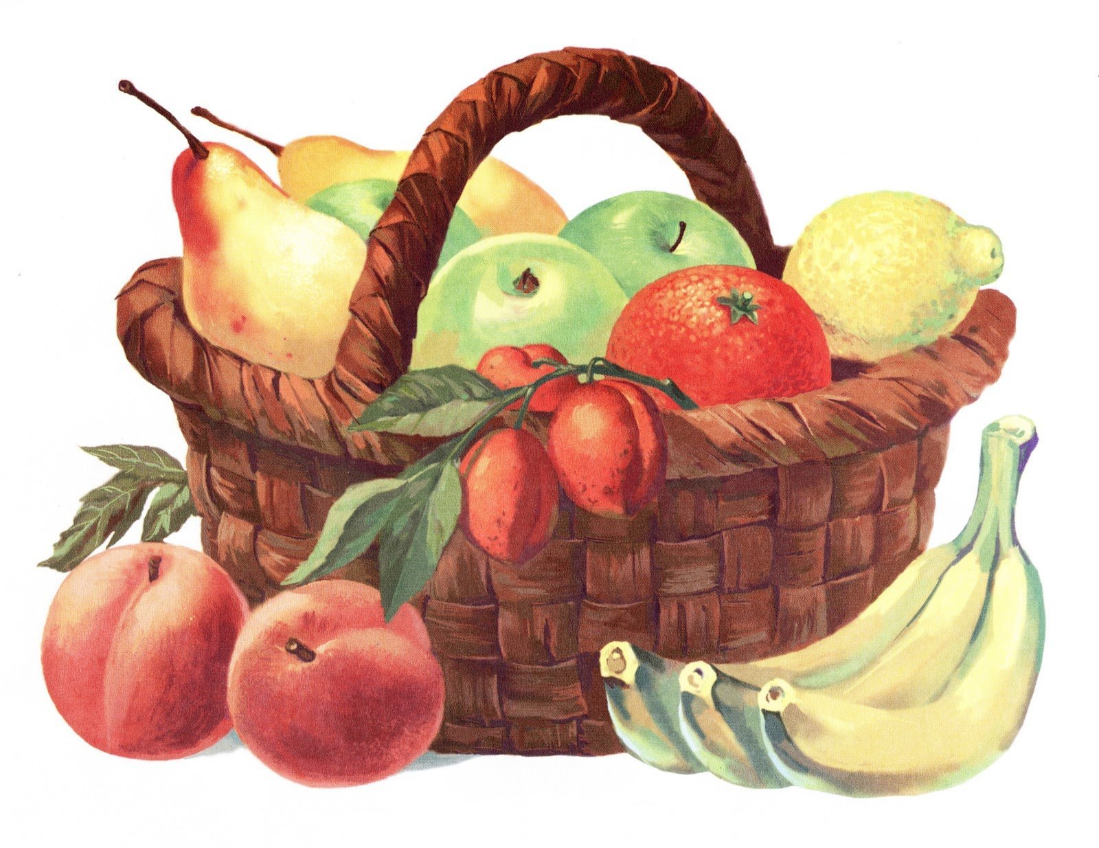 Корзина с фруктами и овощами рисунок детский фото