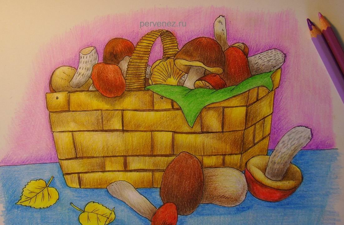 Корзинка с грибами детский рисунок фото