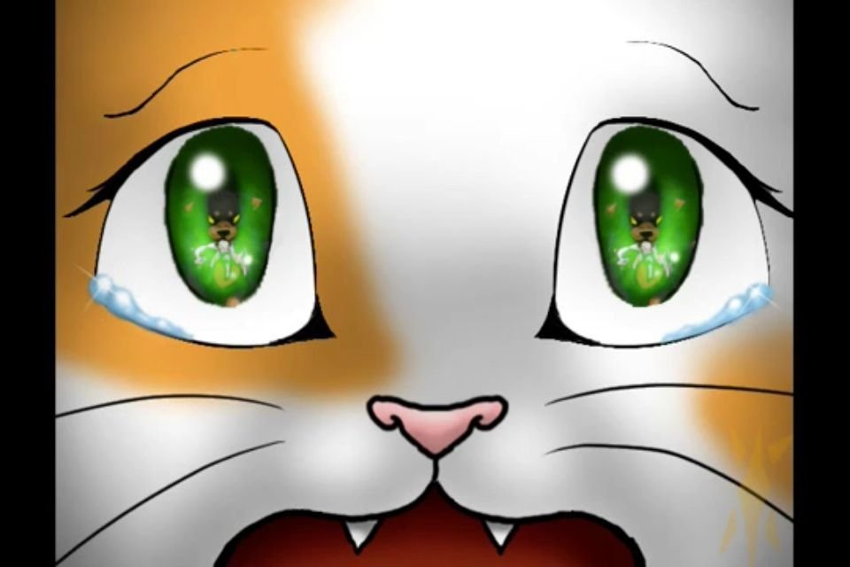 Кошачьи глаза аниме рисунки фото