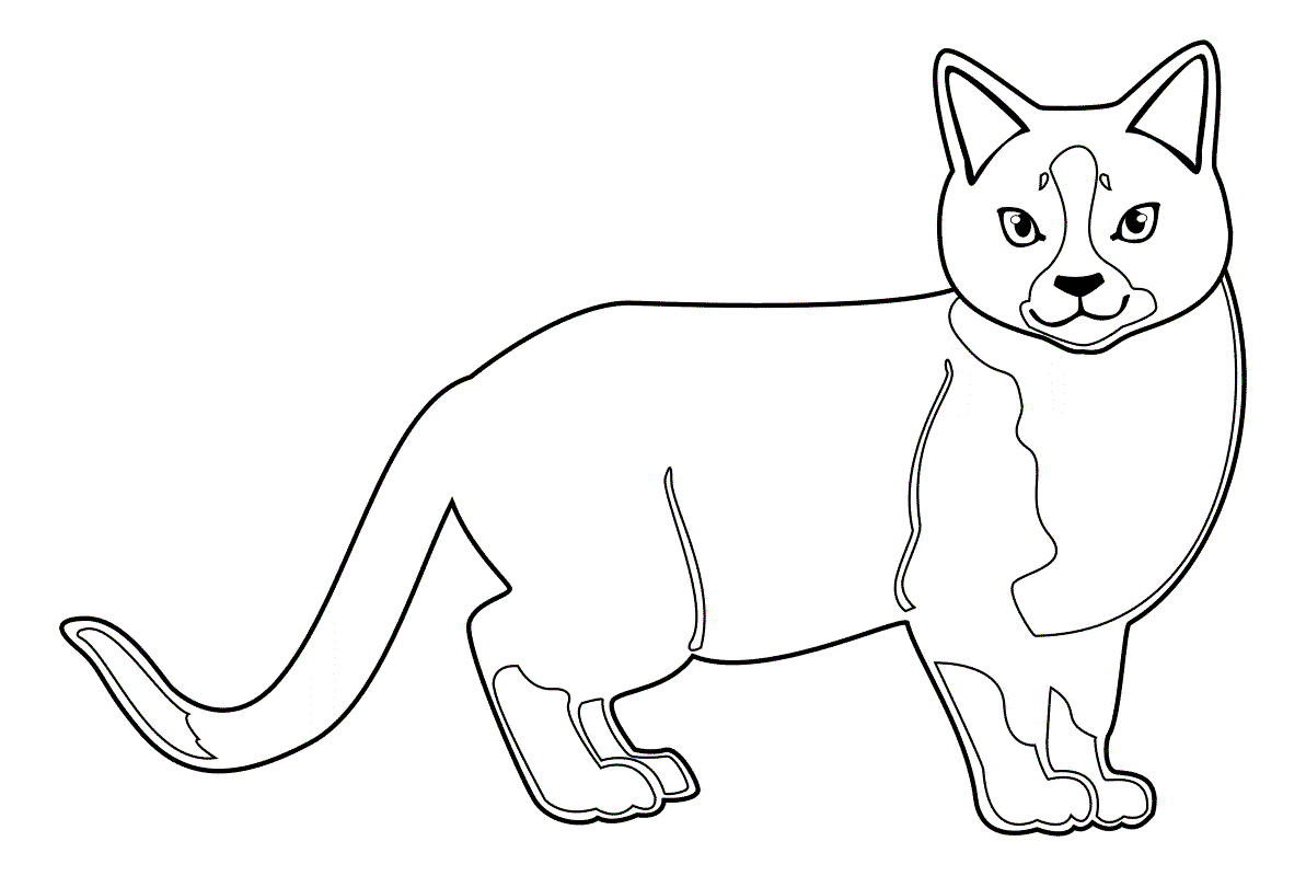 Кошка контурный рисунок для детей фото