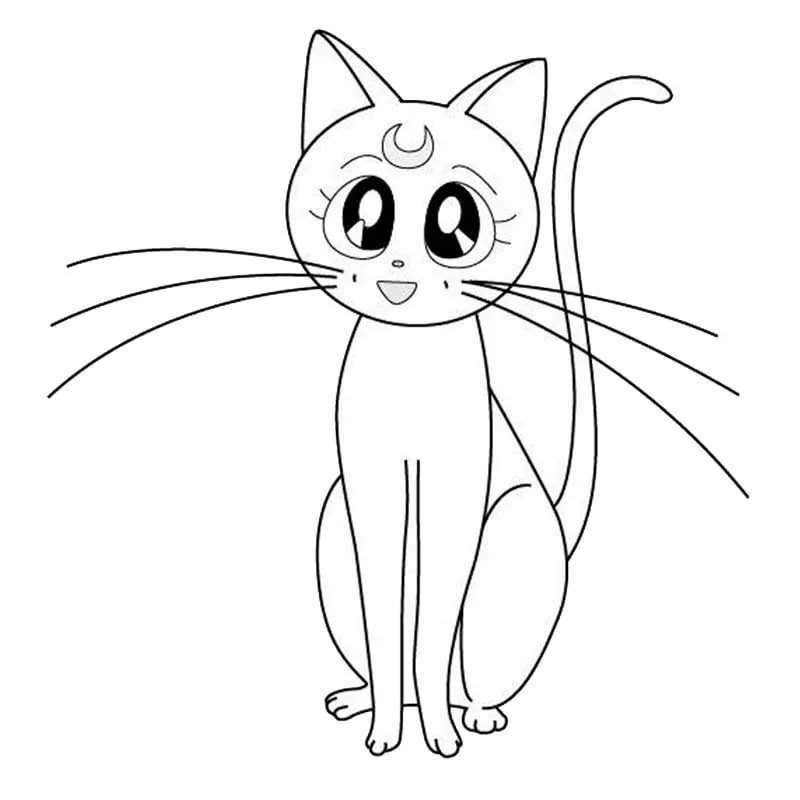 Кошки рисунки карандашом простые для начинающих фото