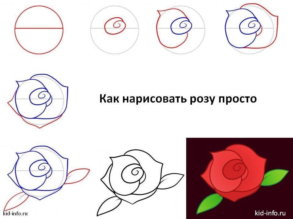 Красивый рисунок розы для мамы поэтапно фото