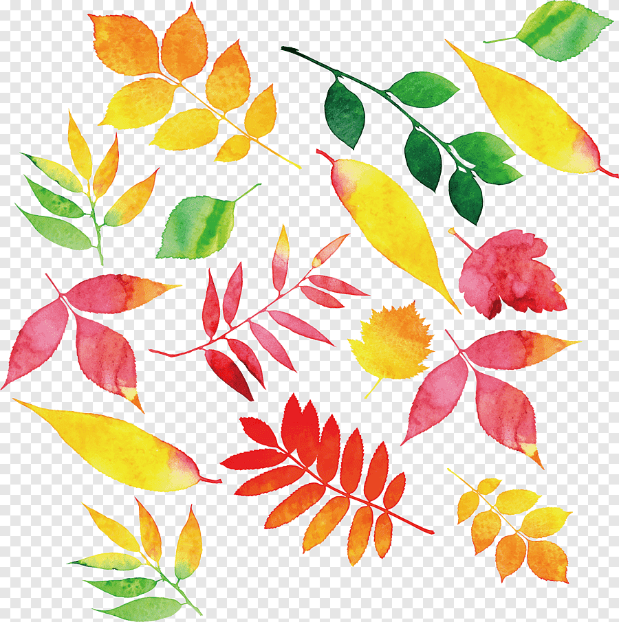 Красивый рисунок узор из листьев фото