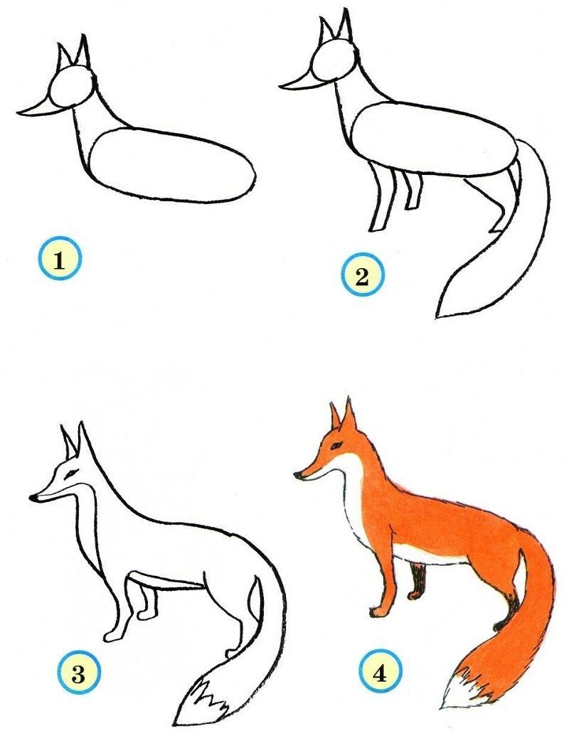 Красивые простые рисунки животных для детей фото