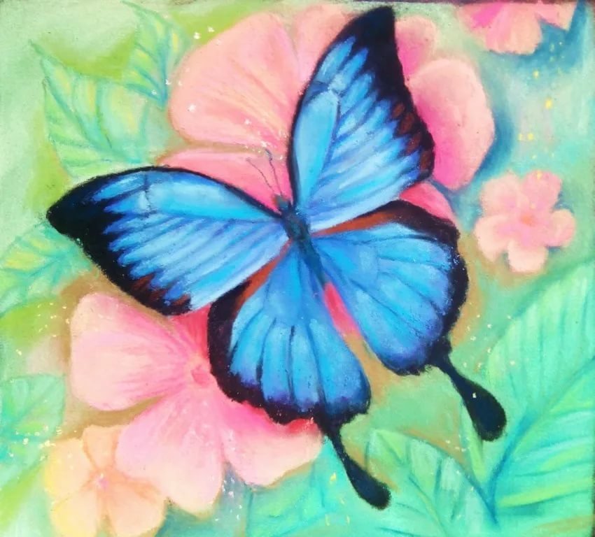 Красивые рисунки бабочек для начинающих фото