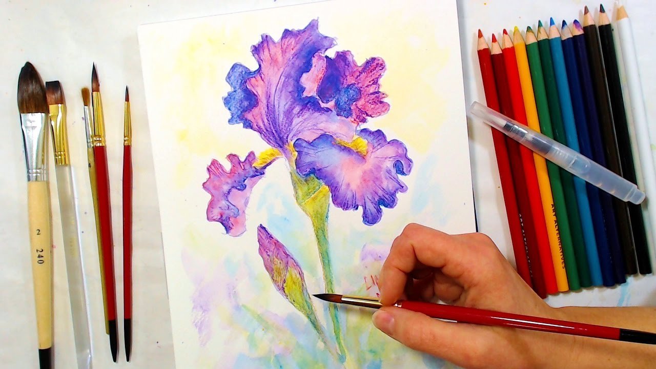 Красивые рисунки карандашами цветными поэтапно для начинающих фото
