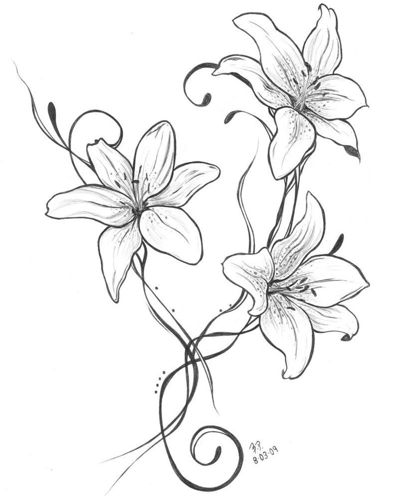Красивые рисунки карандашом цветы тату фото