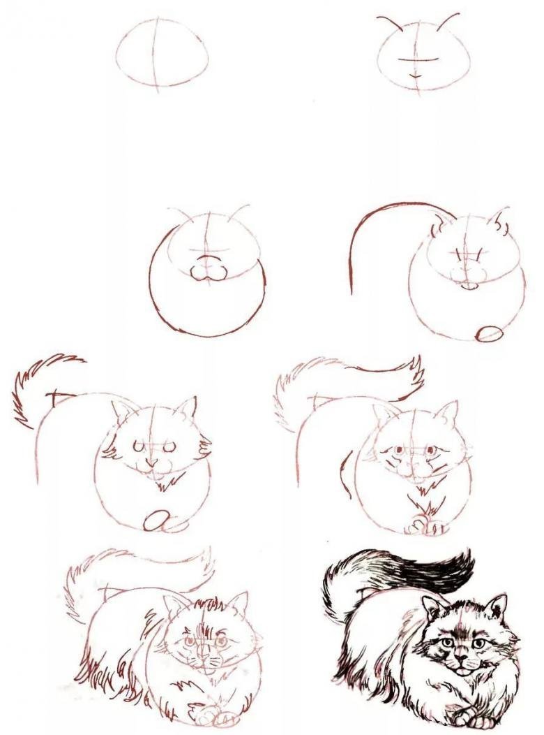 Красивые рисунки котят карандашом поэтапно фото