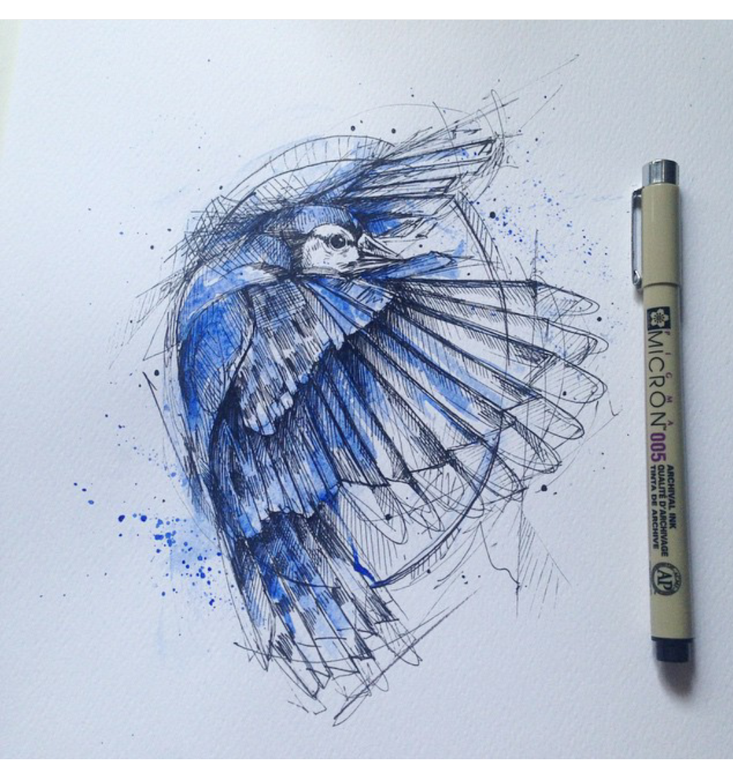 Красивые рисунки синей ручкой животные фото