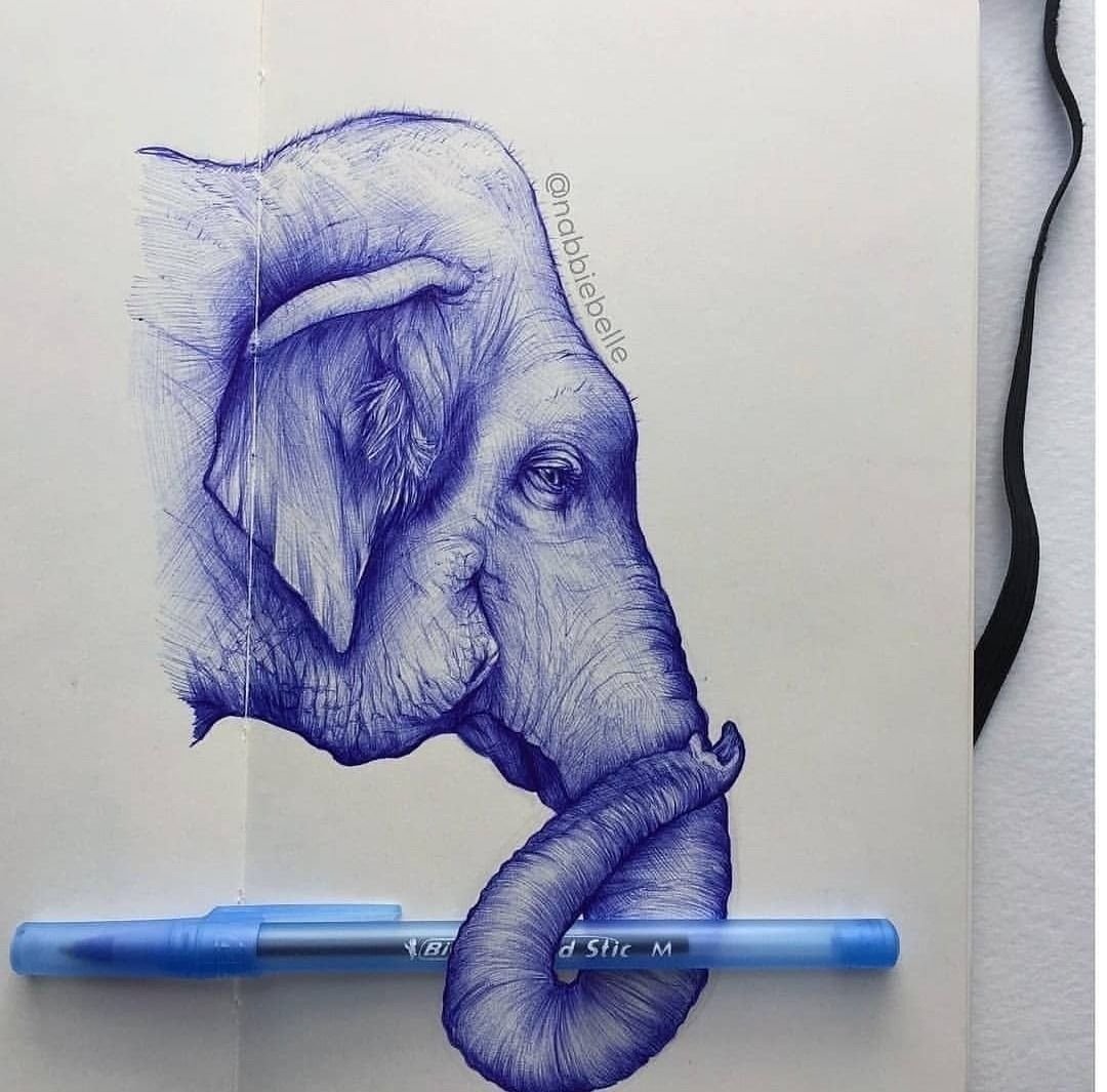 Красивые рисунки животных ручкой фото