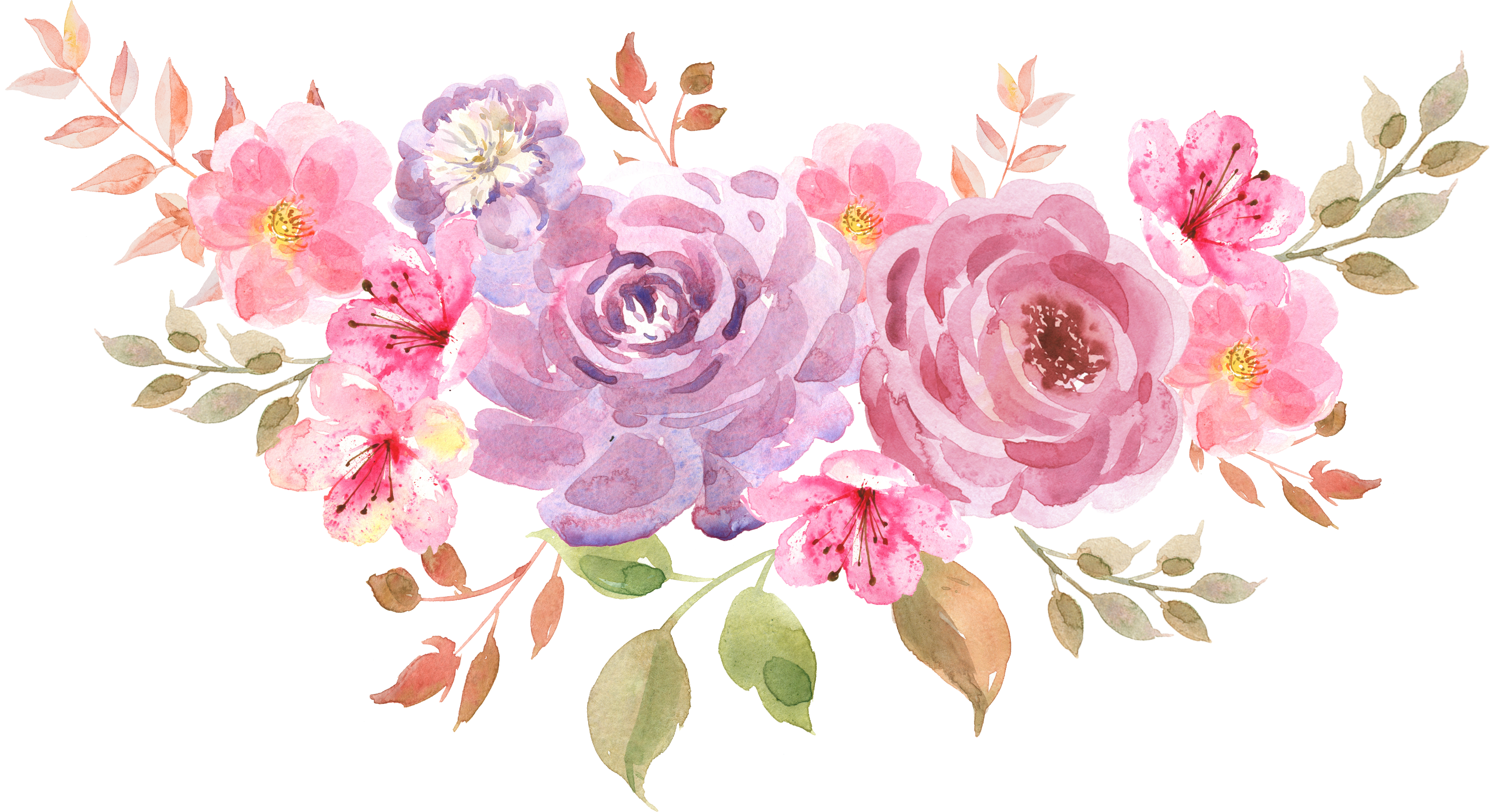 Красивые розовые цветы на прозрачном фоне фото