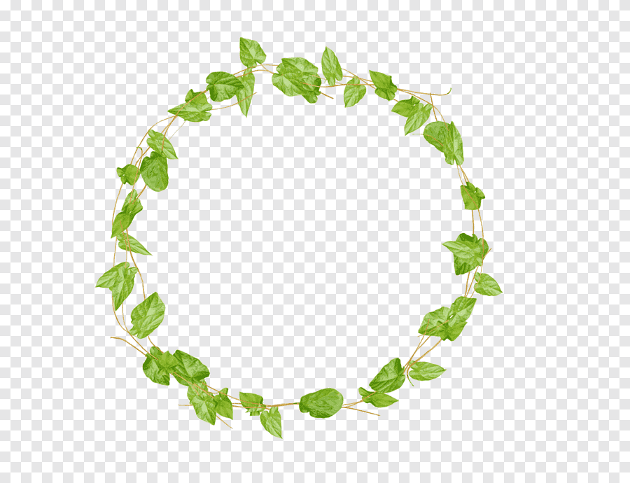 Круг из листьев на прозрачном фоне фото