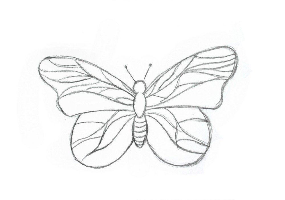 Легкие рисунки бабочек для начинающих фото