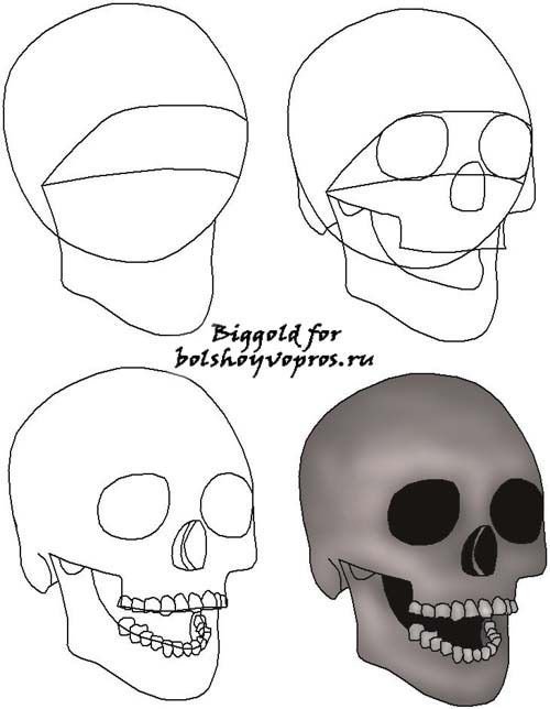 Легкие рисунки черепов для начинающих фото