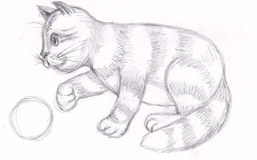 Легкие рисунки карандашом для начинающих животные котики фото