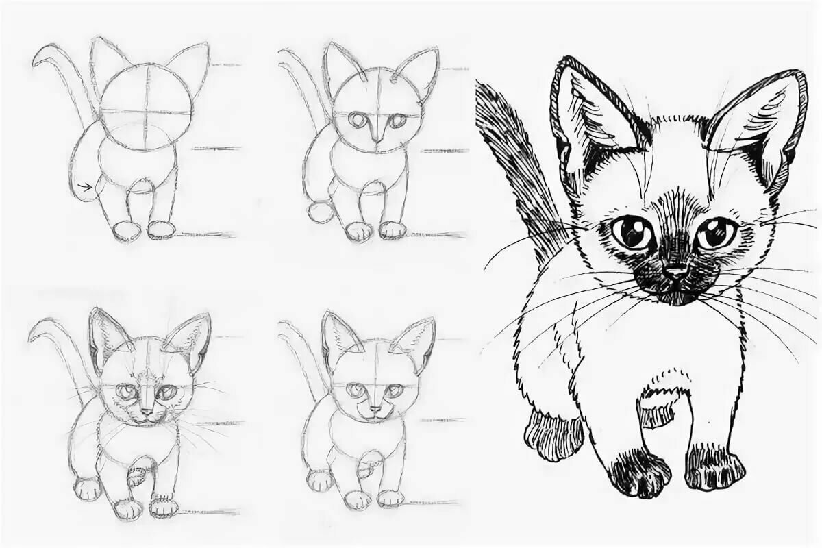 Легкие рисунки котики для начинающих фото