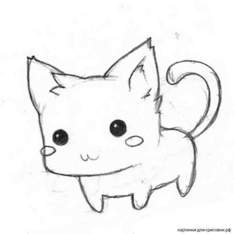 Легкие рисунки котиков для начинающих карандашом фото
